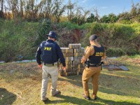 PRF e PM apreendem quase meia tonelada de maconha no Paraná