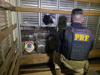 PRF apreende 1,5 tonelada de maconha escondida em carreta na região de fronteira do Paraná