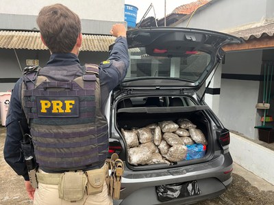 172 kg de maconha em Irati