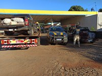 PRF apreende veículos carregados com mais de 1 tonelada de agrotóxicos contrabandeados no Paraná