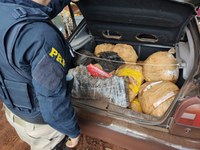 PRF apreende maconha e skunk em Cascavel (PR)