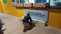 PRF apreende mais de 250 quilos de maconha na região Oeste do Paraná