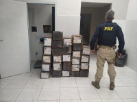 PRF apreende quase meia tonelada de maconha em Curitiba (PR)