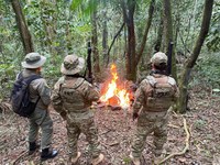 PRF, ICMBio e PF realizam operação de combate à caça ilegal dentro do Parque Nacional do Iguaçu