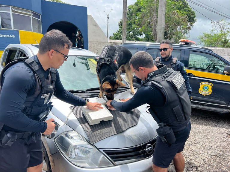 PRF e 1º BIEsp apreendem cocaína dentro de assoalho de carro em Caruaru