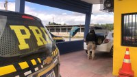 PRF detém procurados por homicídio e recupera carro roubado em Sertânia