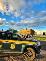 PRF flagra o transporte de oito pessoas em cima de caminhão no Sertão de Pernambuco