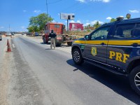 Caminhão furtado e com placas falsas é recuperado pela PRF em Caruaru