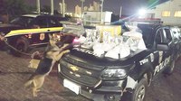 BIEsp e PRF detêm taxista com 24,5 kg de drogas em Petrolina