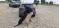 PRF realiza operação de combate ao crime no Sertão de Pernambuco