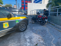 Em Floriano, PRF recupera mais uma motocicleta adulterada com registro de roubo em Teresina