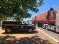 PRF apreende carga de madeira ilegal, em Alegrete