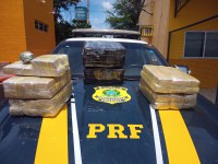 PRF apreende mais de 50 kg de maconha com passageiros de ônibus em Picos