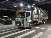 PRF autua caminhoneiro pelo porte de anfetaminas para consumo pessoal na BR 316, em Valença do Piauí