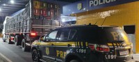 PRF no Piauí prende homem por Receptação de veículo em Piripiri (PI)