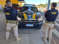 PRF apreende 15 tabletes de cocaína em Valença (PI).