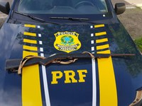Em Campo Maior/PI: PRF prende na BR 343 homem pelo crime de Porte Ilegal de Arma de Fogo e Munições