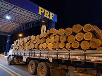 Operação Rodovida: PRF, IBAMA e SEMAR apreendem quase 200,00 m³ de madeira irregular no estado em quatro dias de Combate a Crimes Ambientais