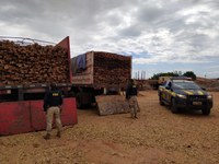 Em Eliseu Martins/PI: Durante fiscalização de veículos de carga, PRF apreende carregamentos de madeira ilegal na BR 135 e autua condutores por Crime Ambiental