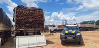 Operação Vita Protegat: Em Eliseu Martins/PI, PRF realiza fiscalização em veículos de carga e apreende carregamento de madeira ilegal e anfetaminas na BR 135