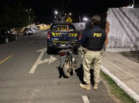 Em Passagem Franca/PI: PRF recupera motocicleta roubada há mais de oito anos que estava abandonada às margens da BR 316
