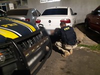 Em Teresina/PI: PRF apreende na BR 316 veículo clonado e homem é preso por Receptação