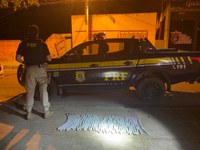 Em Valença do Piauí/PI: Dupla é presa pela PRF na BR 316 com artefatos explosivos utilizados em assaltos a instituições financeiras