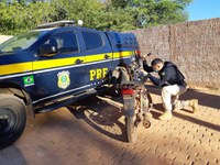 Em Gilbués/PI: Homem acusado de Receptação é preso pela PRF com motocicleta adulterada na BR 135