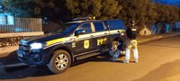 Em Ipiranga do Piauí/PI: Mulher acusada de Receptação é presa pela PRF às margens da BR 316