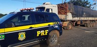 Em Picos/PI: PRF realiza fiscalização em veículos de carga e apreende carregamento de madeira ilegal na BR 316
