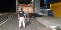 PRF apreende 20,62 m³ de madeira ilegal na BR 316, em Valença do Piauí, e autua condutor por Crime Ambiental