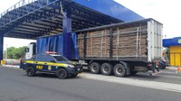 PRF apreende 29,37 m³ de madeira ilegal em Piripiri e autua condutor por Crime Ambiental