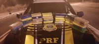 Homem é preso pela PRF na BR 343 em Buriti dos Lopes com droga avaliada em quase R$ 6,0 Milhões