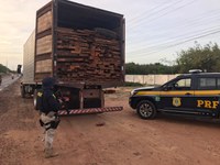 Em Parnaíba/PI: PRF apreende carregamento de madeira ilegal na BR 402 e autua condutor por Crime Ambiental