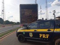 Em Picos/PI: PRF apreende carregamento de madeira ilegal na BR 316 e autua condutor por Crime Ambiental