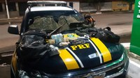 PRF apreende carro com armas e munições na BR 343 em Parnaíba
