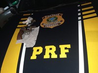 PRF prende homem por Porte Ilegal de arma de fogo em Parnaíba
