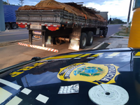 Em Valença do Piauí, PRF autua caminhoneiro por portar anfetaminas para consumo na BR 316