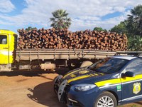 Em Campo Maior/PI: PRF apreende 11,0 m³ de madeira nativa ilegal na BR 316 e prende condutor por Crime Ambiental