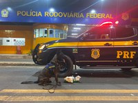 Em Floriano/PI: PRF prende na BR 230 passageiro acusado de Tráfico de Drogas e apreende maconha e cocaína avaliadas em mais de R$ 50.000,00
