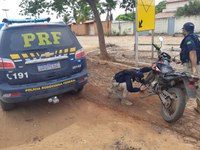 Em Monte Alegre do Piauí/PI: PRF apreende na BR 135 motocicleta adulterada e prende homem por Adulteração de Elemento de identificação de veículo automotor