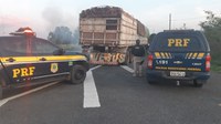 Em Piripiri/PI: PRF apreende 40,0 m³ de madeira ilegal na BR 343 e prende condutor por Crime Ambiental