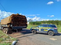 PRF no Piauí apreende carga ilegal de madeira e anfetaminas em Piripiri (PI)