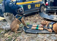 PRF apreende aproximadamente 4 quilos de cloridrato de cocaína no Rio de Janeiro