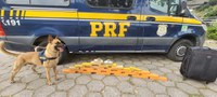 PRF apreende 28 tabletes de maconha em Piraí-RJ