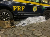 PRF apreende arma de fogo e drogas em Piraí-RJ