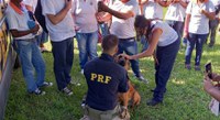 PRF promove atividades para a saúde da população e dos animais no RJ