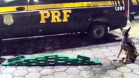 Passageiro de ônibus é preso com cerca de 20 quilos de maconha no RJ