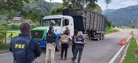 Operação Ordures combate crimes ambientais em Teresópolis
