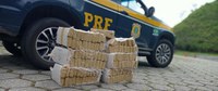 Operação Égide: PRF apreende 141 tabletes de maconha em Piraí